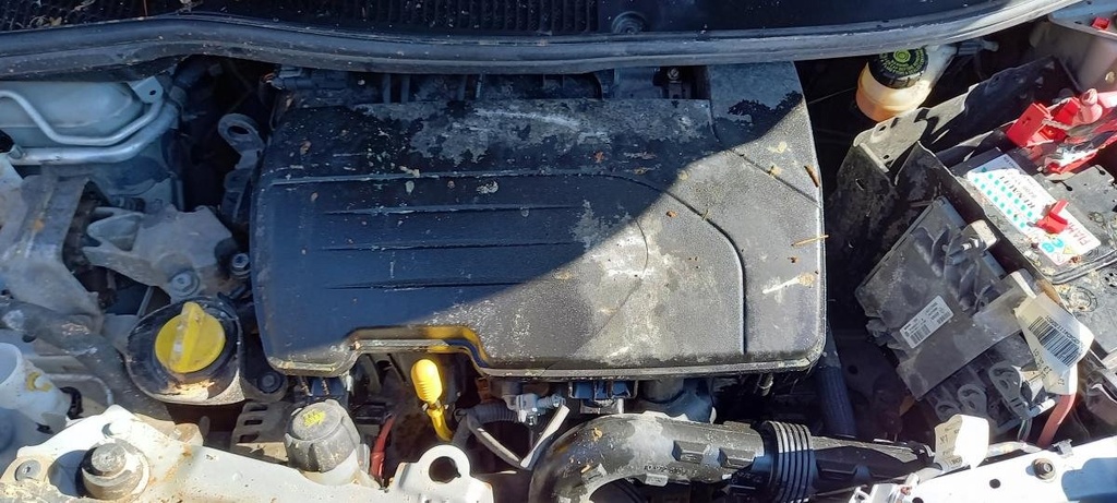 [10141039362986] Motor - Renault Twingo (C06) (1.2i 16V (75 cv) Automatico) (2007)